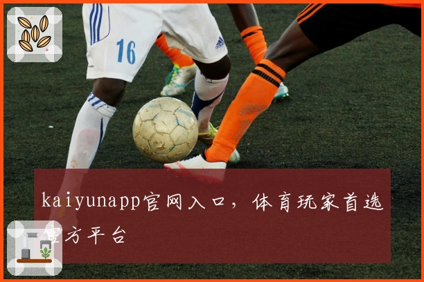 kaiyunapp官网入口，体育玩家首选官方平台